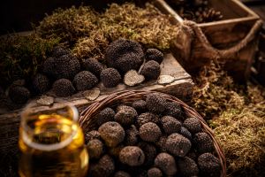 Fresh black truffles displayed on a rustic wooden surface with moss and a glass of wine.