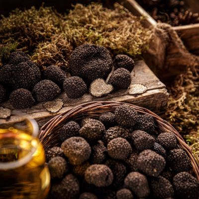 Fresh black truffles displayed on a rustic wooden surface with moss and a glass of wine.